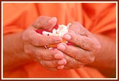 Swamishri offers mantra pushpanjali