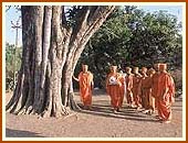Swamishri, by the  peepal tree sanctified by Lord Swaminarayan, Dharampur,  3 May 1999