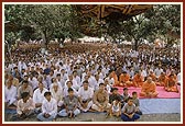 Morning  assembly under a natural canopy of mango trees in the mandir complex