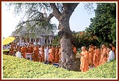 Swamishri circumambulates the sanctified khijada tree and shrine