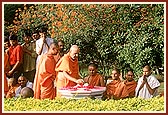 Performing pradakshina of shrine where the palanquin, with Shastriji Maharaj's body, was placed before cremation