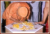 Swamishri bows at the memorial shrine