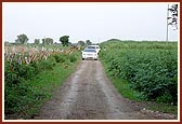 Swamishri visits the mandir farm - Yagnapurush Vadi