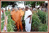 Swamishri visits the mandir farm - Yagnapurush Vadi