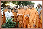 Swamishri observes the farm and cotton crop