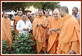 Swamishri observes the farm and cotton crop