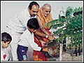 Plant-A-Tree Campaign