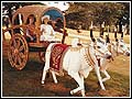 Traditional means of Indian transport. Bhagwan Swaminarayan travelled by bullock cart