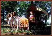 An ornate, decorative Bullock cart - a mode of transport adopted by Bhagwan Swaminarayan