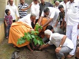 Tree Planting Campaign BAPS Shri Swaminarayan Mandir, Gadhada, India