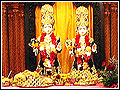 Annakut offered to Murtis'