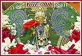 Shri Harikrishna Maharaj during Swamishris pooja

 