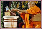   Swamishri places flowers at the lotus feet of Shri Harikrishna Maharaj