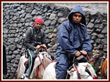 Kishores ride mules to Kedarnath