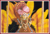 Lord Harikrishna Maharaj graces a decorative swing during Swamishri's morning pooja