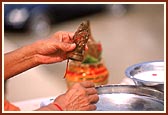 Swamishri offers pujan to Ganeshji that was found on site