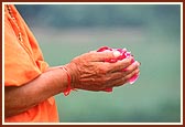 Swamishri offers mantra pushpanjali