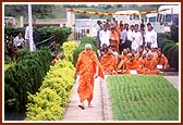 Swamishri during his morning walk