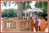 At the sanctified tamarind tree where Shriji Maharaj had been devotionally rocked on a swing, Laxmi Vadi