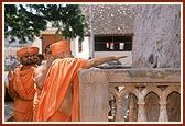 Out of glory and respect Swamishri touches the holy tamarind tree