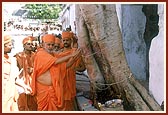 Offering respects to the Moksha Peepal tree by the Bindu Sarovar